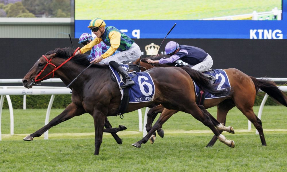 权利的全面 权利的全面