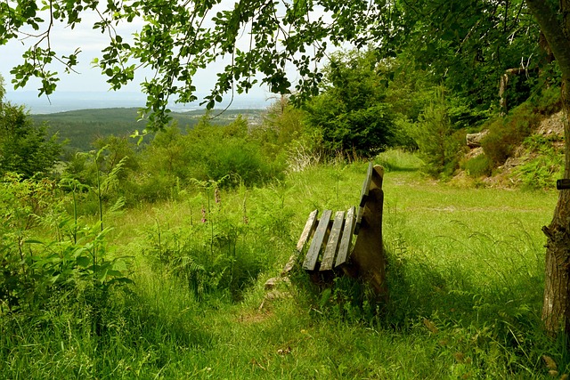 开始逐渐掌 开始逐渐掌