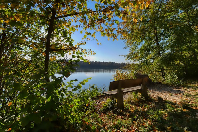 全面发挥密 全面发挥密