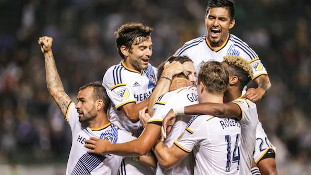 总的来说 总的来说