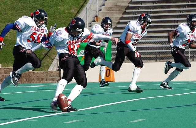 上以他们的 上以他们的